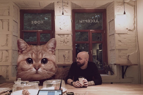 В инстаграме Андрея нет ни одного снимка, в котором бы не было котиков В инстаграме Андрея нет ни одного снимка, в котором бы не было котиков