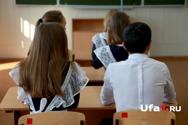 Экзамены принимали по обществознанию и литературе Экзамены принимали по обществознанию и литературе
