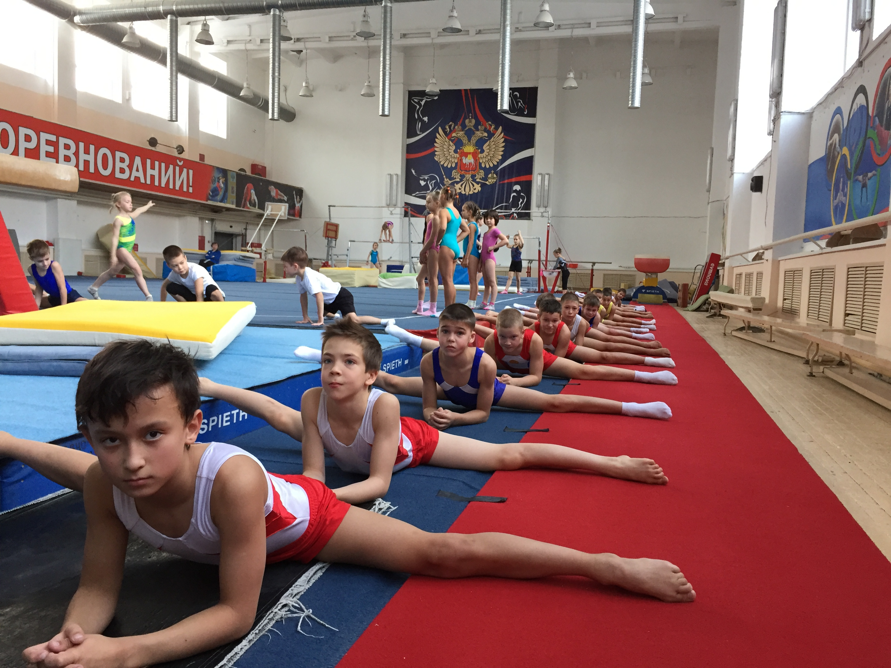 Спортивная гимнастика мальчики