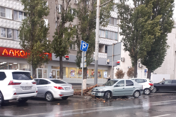 Ветреная погода в Ростове часто сопровождается раздавленными автомобилями