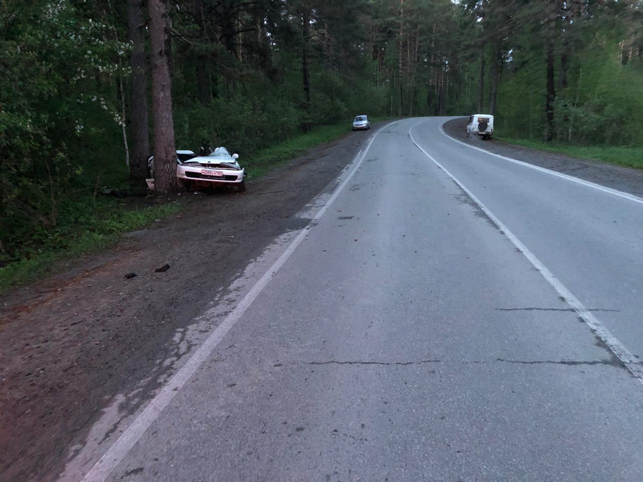 Удар о дерево стал для водителя смертельным Удар о дерево стал для водителя смертельным