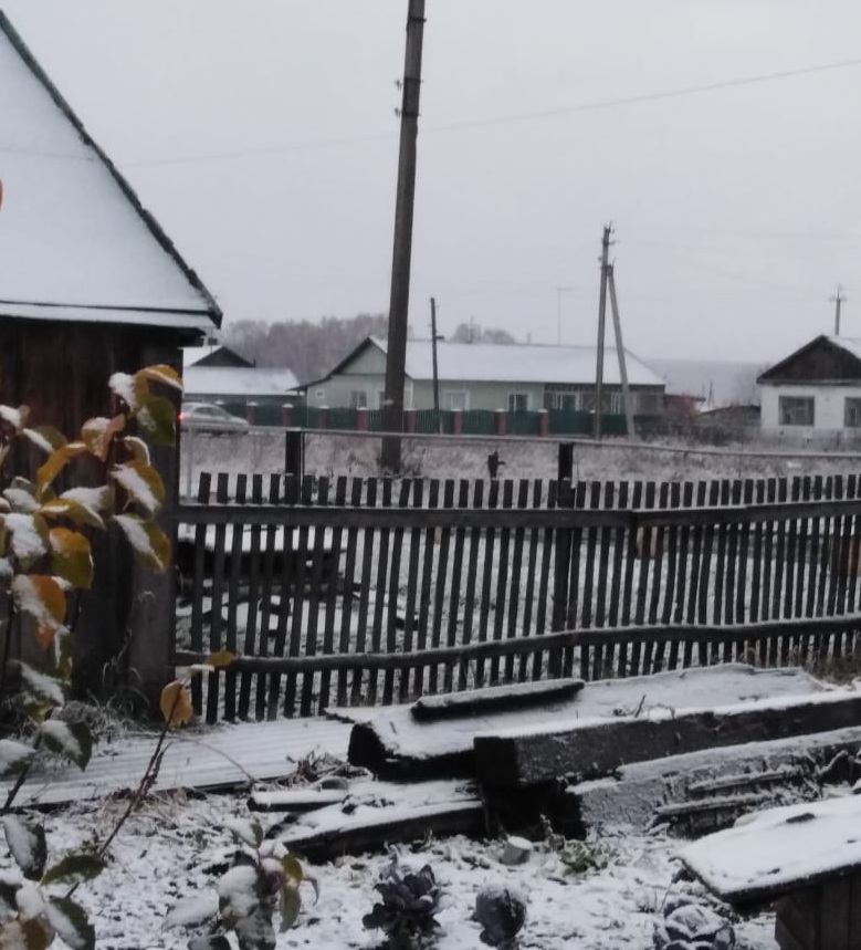 Привет из заснеженного Черепаново! Привет из заснеженного Черепаново!