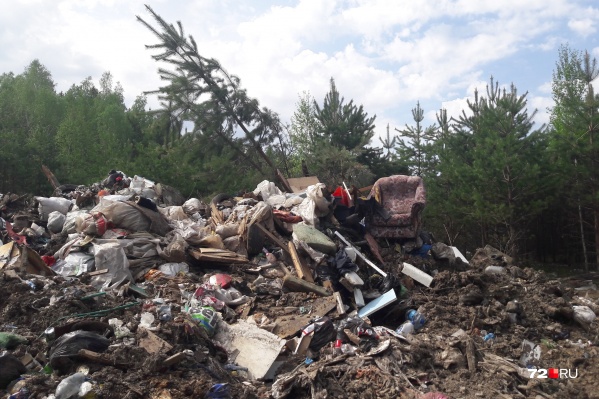 Огромная свалка в лесу на Велижанском тракте изначально была стихийной, но сельским властям удалось ее узаконить Огромная свалка в лесу на Велижанском тракте изначально была стихийной, но сельским властям удалось ее узаконить