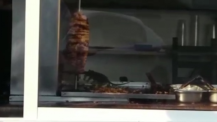 «По мясу бегали крысы!»: в Самаре закрыли киоск с шаурмой у ЦУМа
