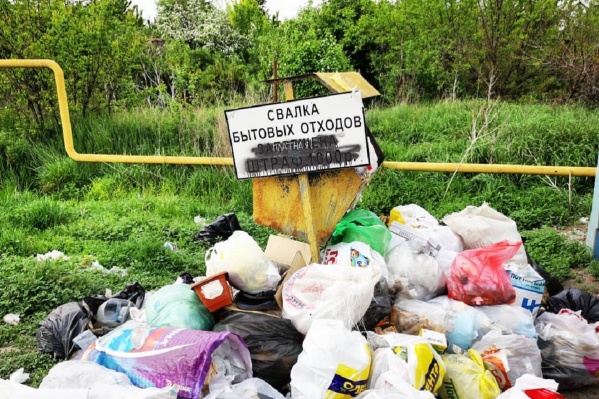 Общественник не поленился остановиться и запечатлеть открывшуюся картину Общественник не поленился остановиться и запечатлеть открывшуюся картину