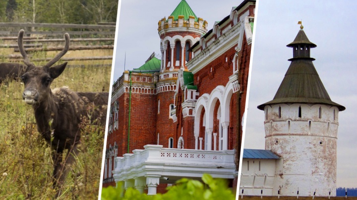 Замок, гейзер, берег скелетов. Тест на знание туристических мест Нижегородской области