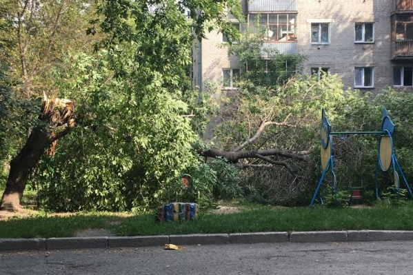 Дерево упало рано утром, когда на площадке не было детей Дерево упало рано утром, когда на площадке не было детей