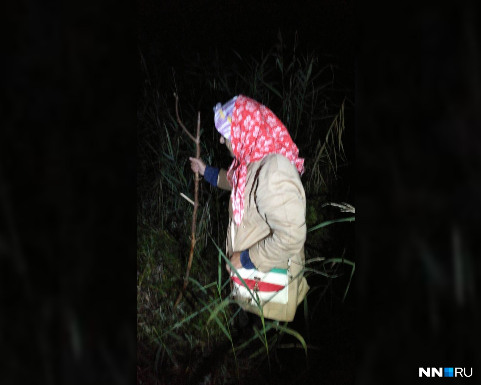В Володарском районе спасли бабушку, которая провела в лесу ночь