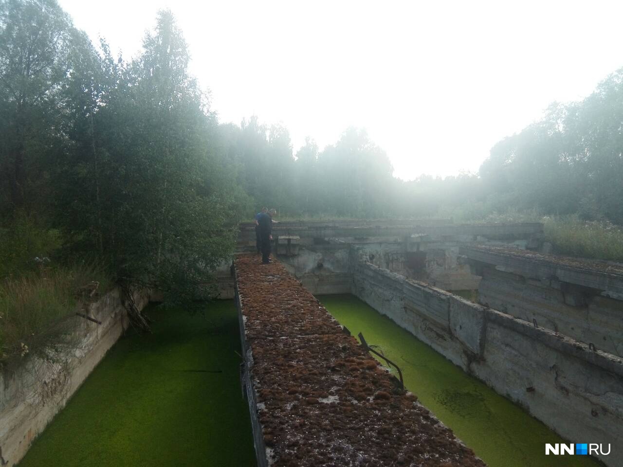 Водолазы МЧС приехали к ним с крюком и магнитом Водолазы МЧС приехали к ним с крюком и магнитом
