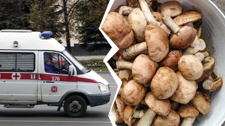 Трое детей в реанимации: в Башкирии семь человек отравились грибами