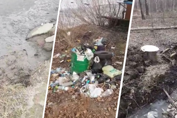 Виды парка на озере Мясокомбината Виды парка на озере Мясокомбината