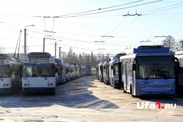 По словам горожан, отсутствие электротранспорта доставляет неудобства По словам горожан, отсутствие электротранспорта доставляет неудобства