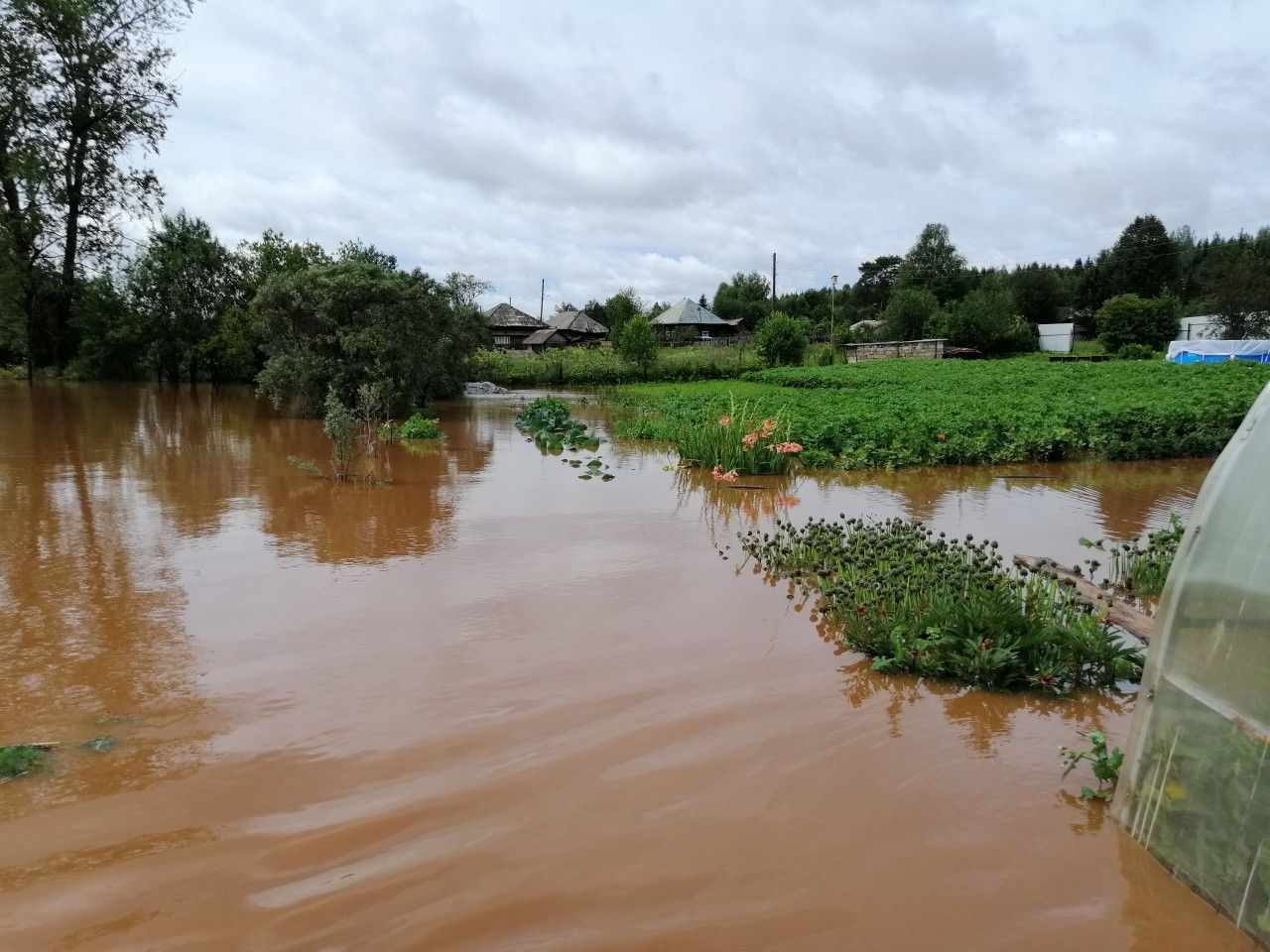 Теплицы, грядки и дома — в воде Теплицы, грядки и дома — в воде