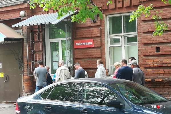 У пункта приема этим летом — очереди У пункта приема этим летом — очереди