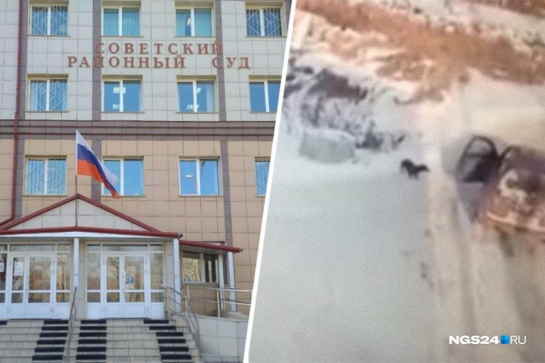 Мужчина открыл стрельбу по собаке в гаражах Мужчина открыл стрельбу по собаке в гаражах