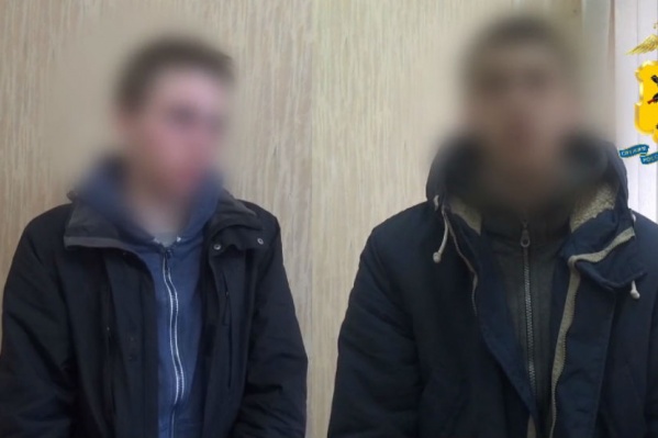 Молодые люди во всем сознались Молодые люди во всем сознались