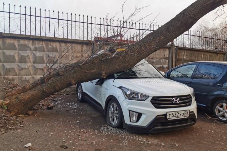 Многие автомобилисты попали сегодня на деньги... Многие автомобилисты попали сегодня на деньги...