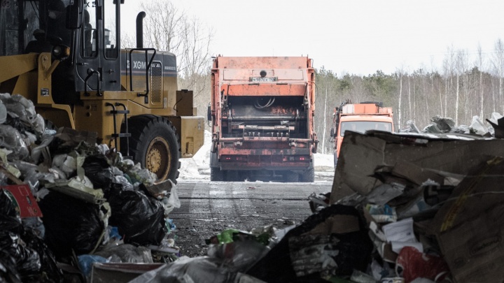 Компании, оставшиеся без договора с регоператором — о близости «мусорного коллапса» в Поморье