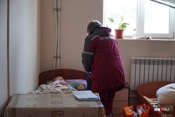 Все постояльцы приюта истощены и обезвожены, им нужна помощь медиков Все постояльцы приюта истощены и обезвожены, им нужна помощь медиков