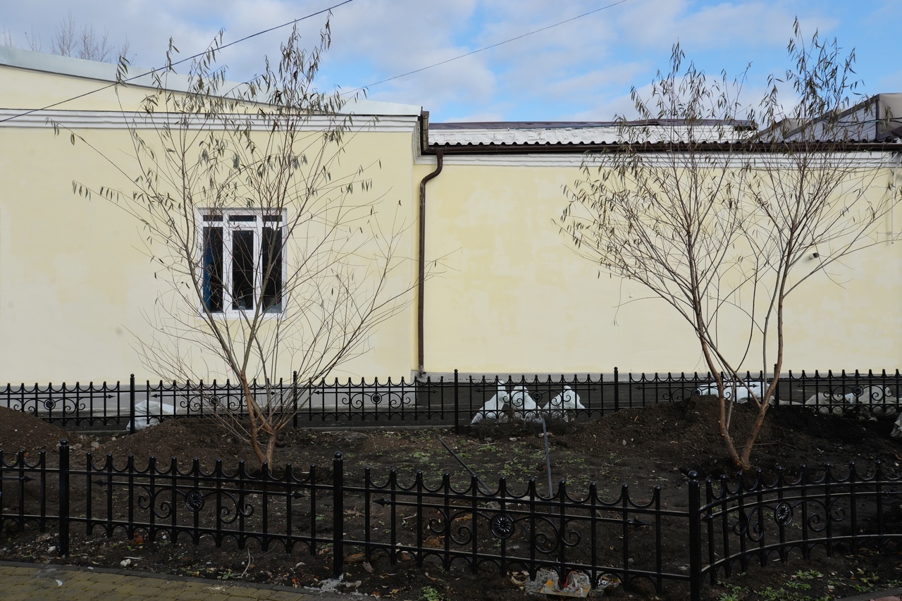 Большемеры в Кургане высаживают редко Большемеры в Кургане высаживают редко