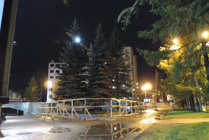 Компания «АГД Даймондс» срубила три ели, чтобы установить памятник академику Лавёрову