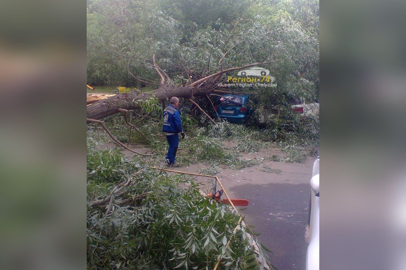 Дерево упало во дворе дома № 21 по улице Каслинской