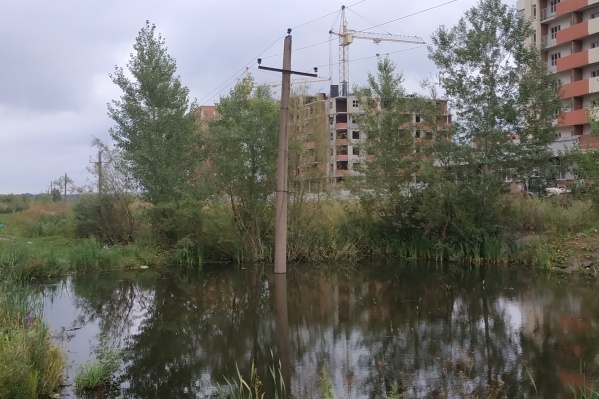 Вот у этого пруда так любят гулять жители Демы Вот у этого пруда так любят гулять жители Демы