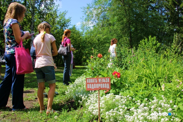 Дендросад им. Комиссарова находится в 40 км от Омска