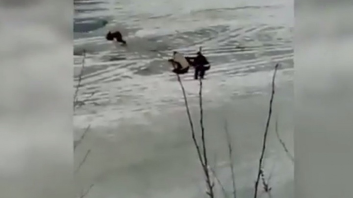 В Екатеринбурге трое парней спасли провалившегося под лёд рыбака