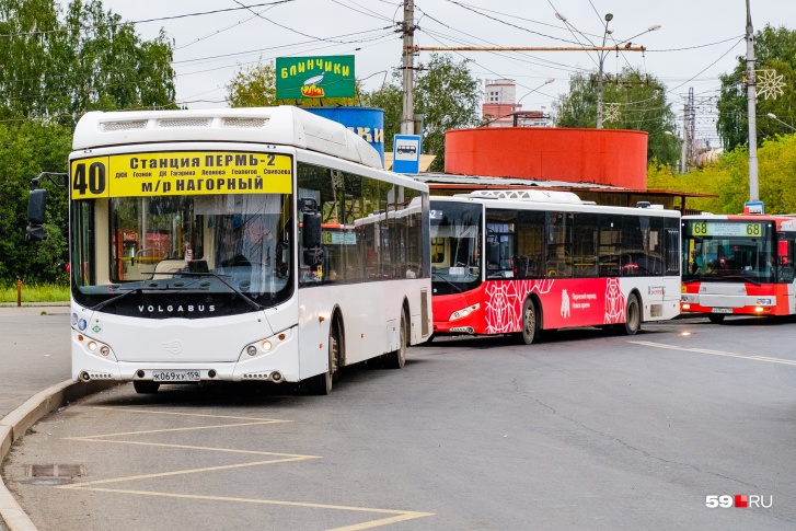 Реформа должна привести к тому, что на улицах останутся только новые автобусы