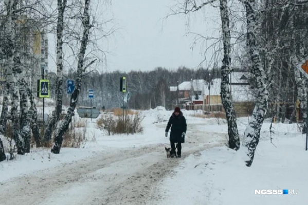 Спасатели попросили пешеходов быть внимательными на дорогах Спасатели попросили пешеходов быть внимательными на дорогах