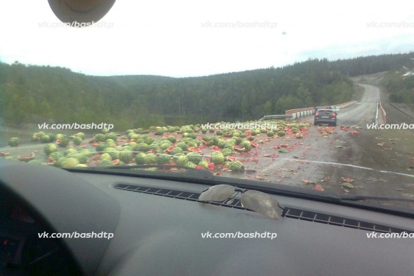 Аппетитные помехи на дороге Аппетитные помехи на дороге