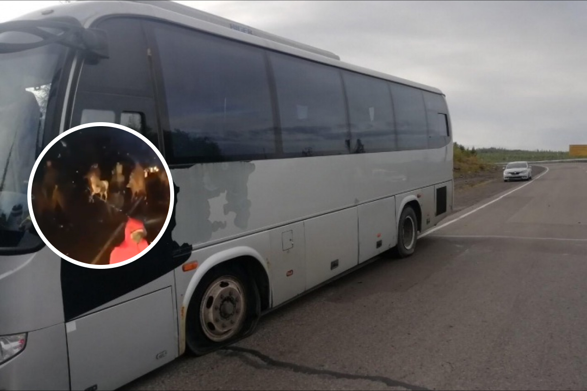 Опубликовано видео нападения на автобус с наблюдателями и журналистами на границе края