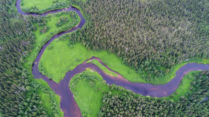 «Здесь просторы нетронутой природы»: удивительный фоторепортаж с Двинско-Пинежского междуречья