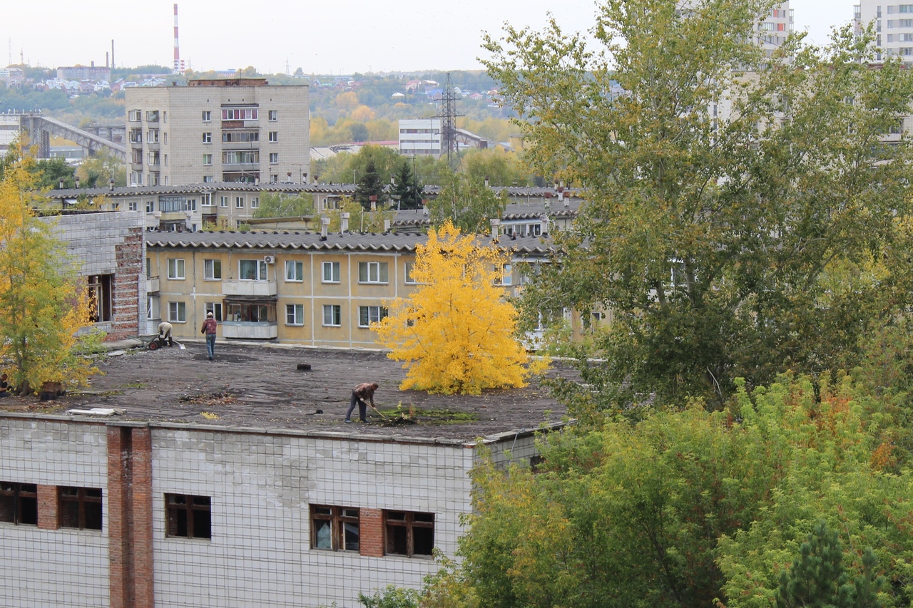 Деревья на крыше завода