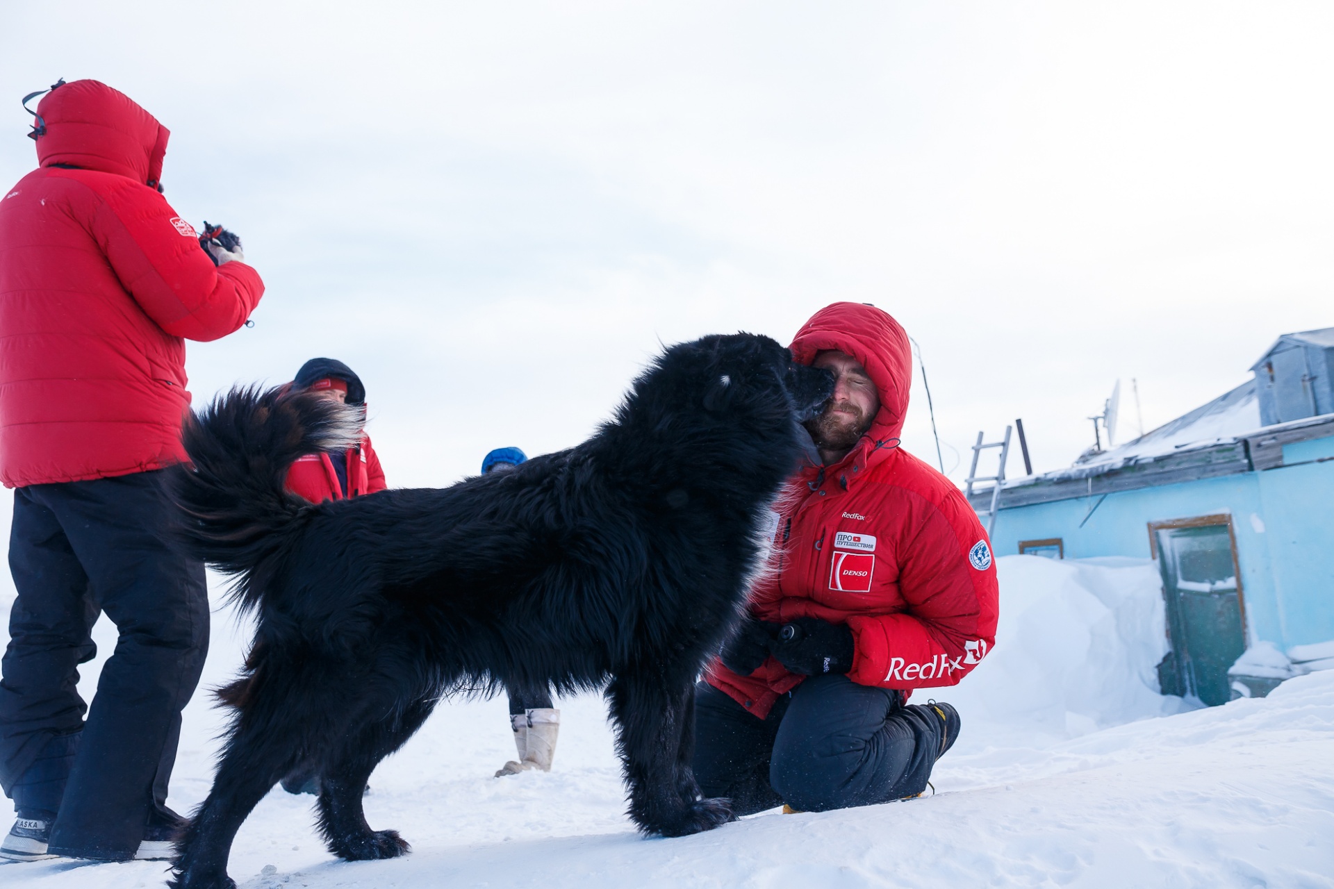 Неожиданные встречи: путешественники и собаки, обитающие на полярной метеостанции