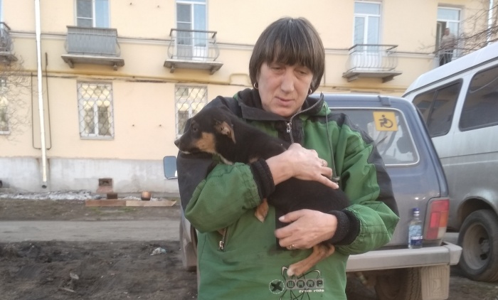 Двухмесячный щенок провёл четыре дня в коллекторе Двухмесячный щенок провёл четыре дня в коллекторе
