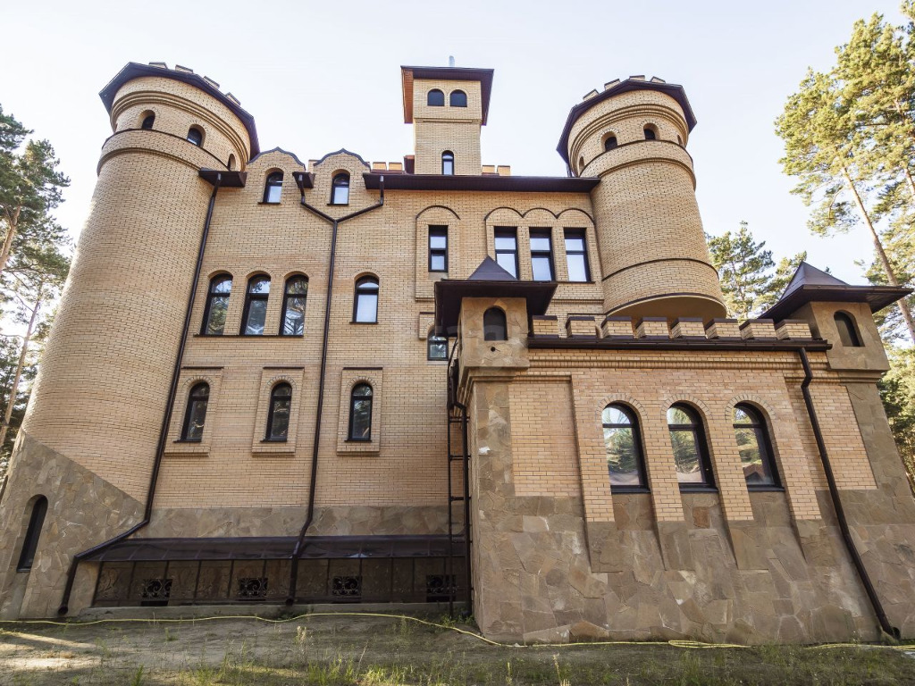 Замок пл. Кудряшовский замок. Кудряшовский замок Новосибирск. Старый замок Кудряши. Замок в Долгопрудном.