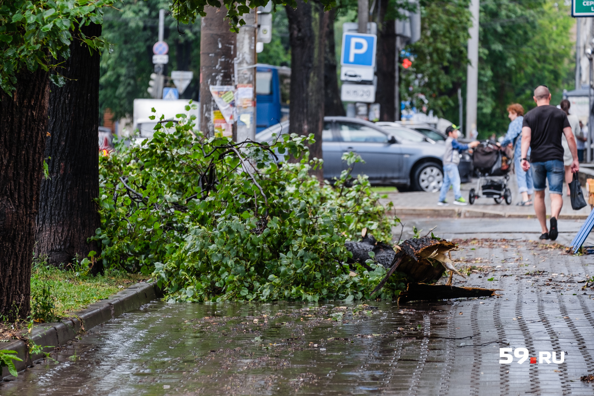 Последствия урагана в Перми обещают устранить за два дня