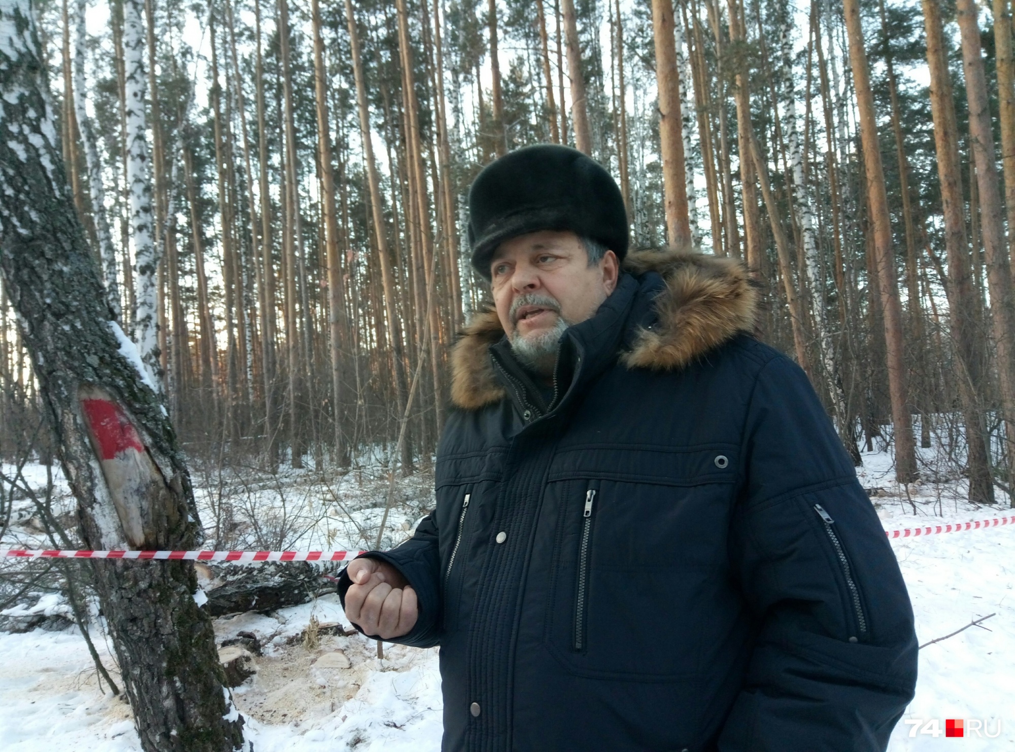 По словам Леонида Ширяева, изначально планировалось убрать только больные деревья...