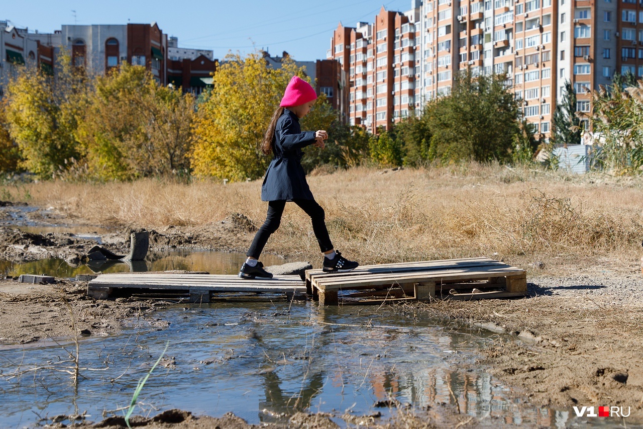 Канализационные реки, зловонные берега: в Волгограде новостройки утонули в фекалиях