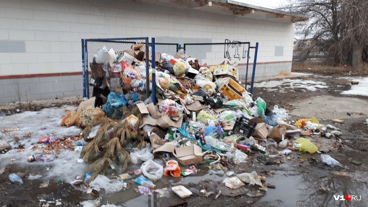 «Губернатор их накажет»: в Волгограде за два месяца так и не убрали мусор из центра города
