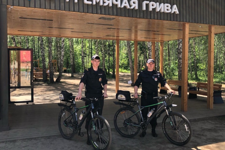 Патруль полиции в парке «Гремячая грива» Патруль полиции в парке «Гремячая грива»