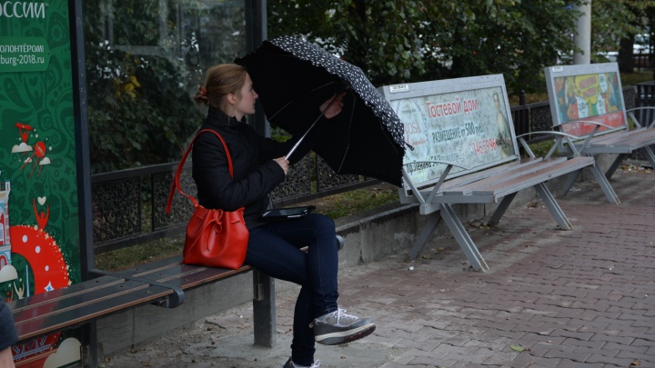 Ждем гололед: последняя неделя октября в Екатеринбурге будет холодной и дождливой