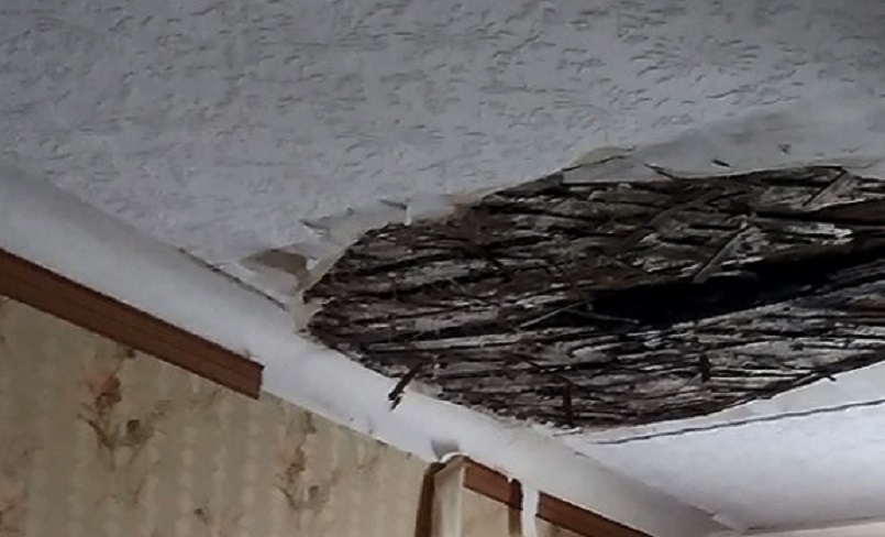 В «сталинке» на улице Шурухина в Волгограде после ливней обрушился потолок: видео