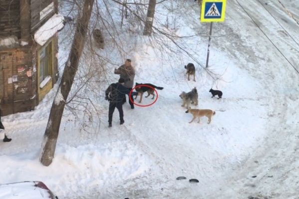 Один из участников конфликта вооружился травматическим пистолетом Один из участников конфликта вооружился травматическим пистолетом