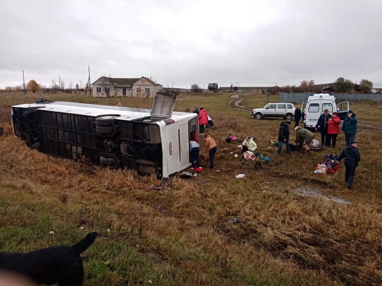 Туристический автобус улетел в кювет и опрокинулся в Нижегородской области: есть пострадавшие