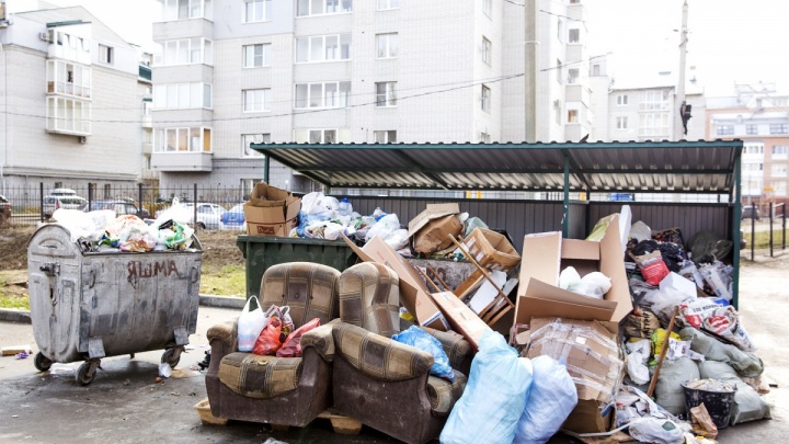 Попытаются взять деньги за мусор дважды: ярославцев предупредили об обмане от управдомов