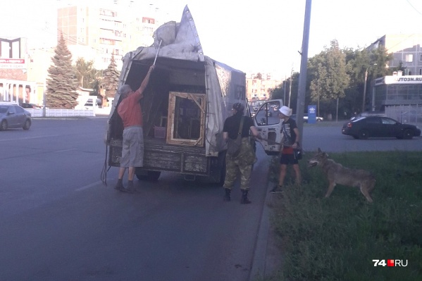 Волк выпал из машины на улице Молодогвардейцев — прямо в жилом районе Волк выпал из машины на улице Молодогвардейцев — прямо в жилом районе