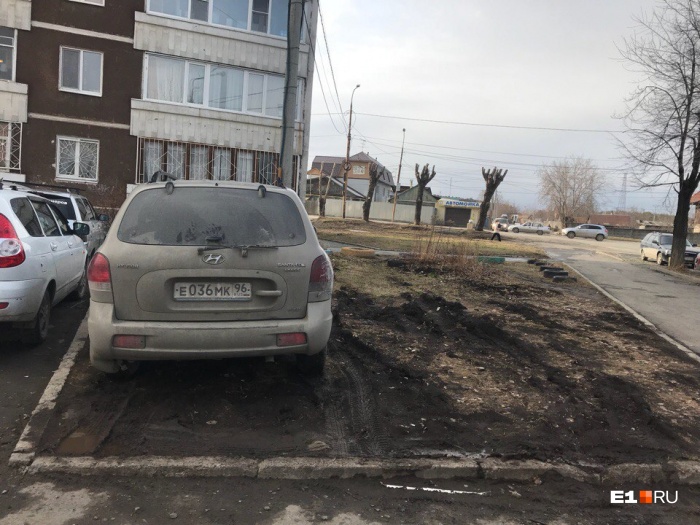 Больше всего нам присылают фотографии гряземесов Больше всего нам присылают фотографии гряземесов